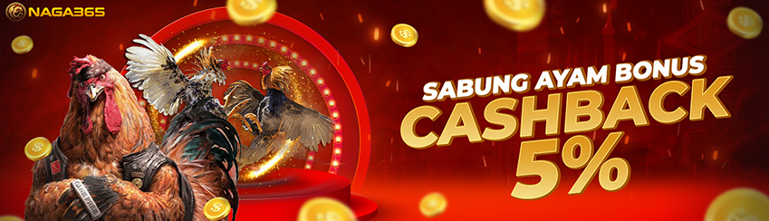 sabung ayam cashback 5%